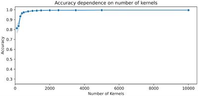 Neural fingerprinting on MEG time series using MiniRocket